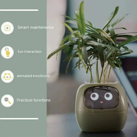 Smart Bloempot met Expressie