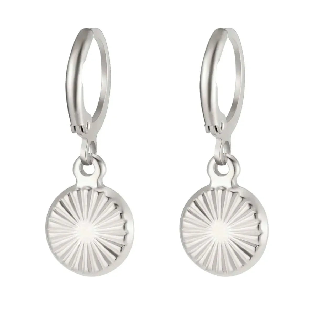 Fashion RVS Oorbellen