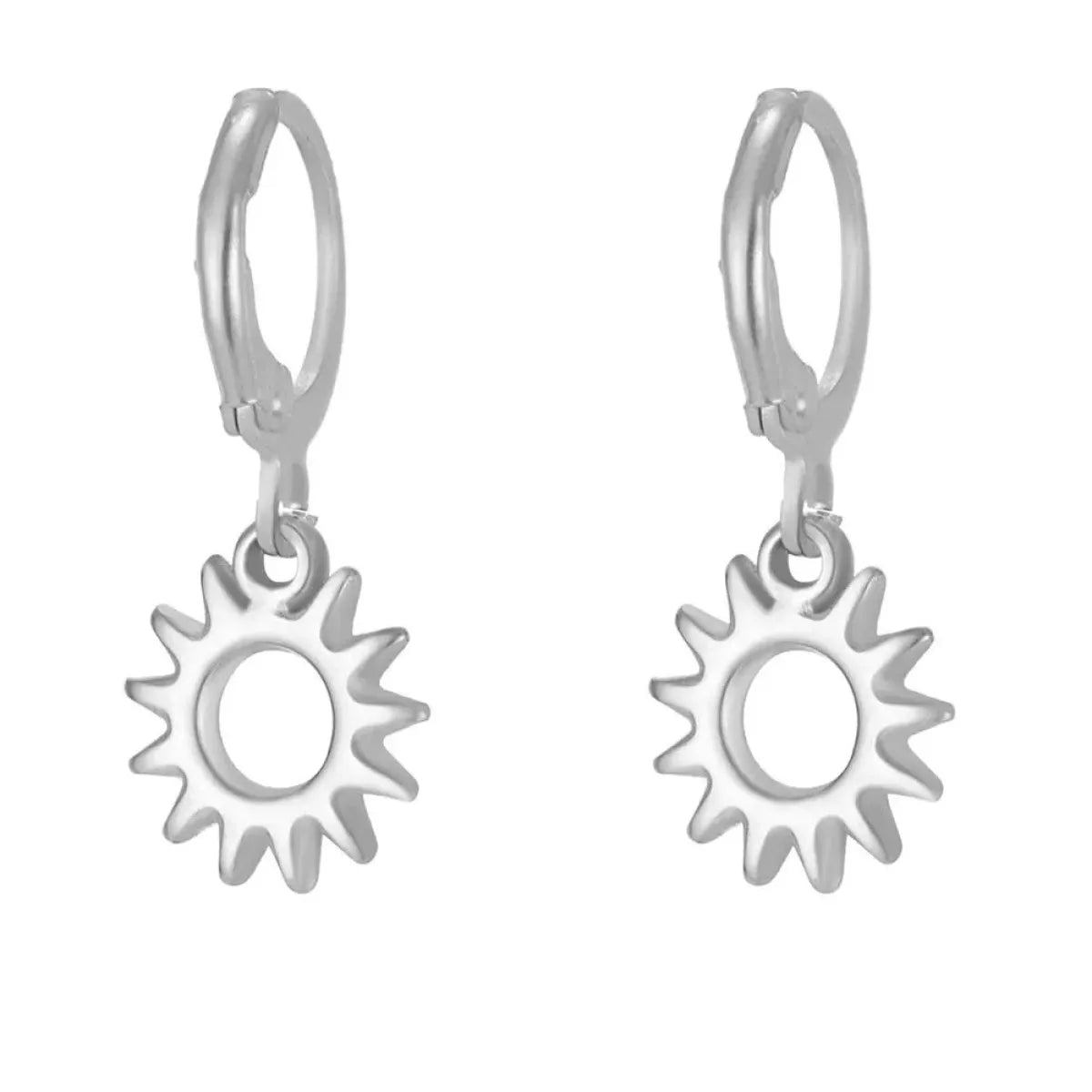 Fashion RVS Oorbellen