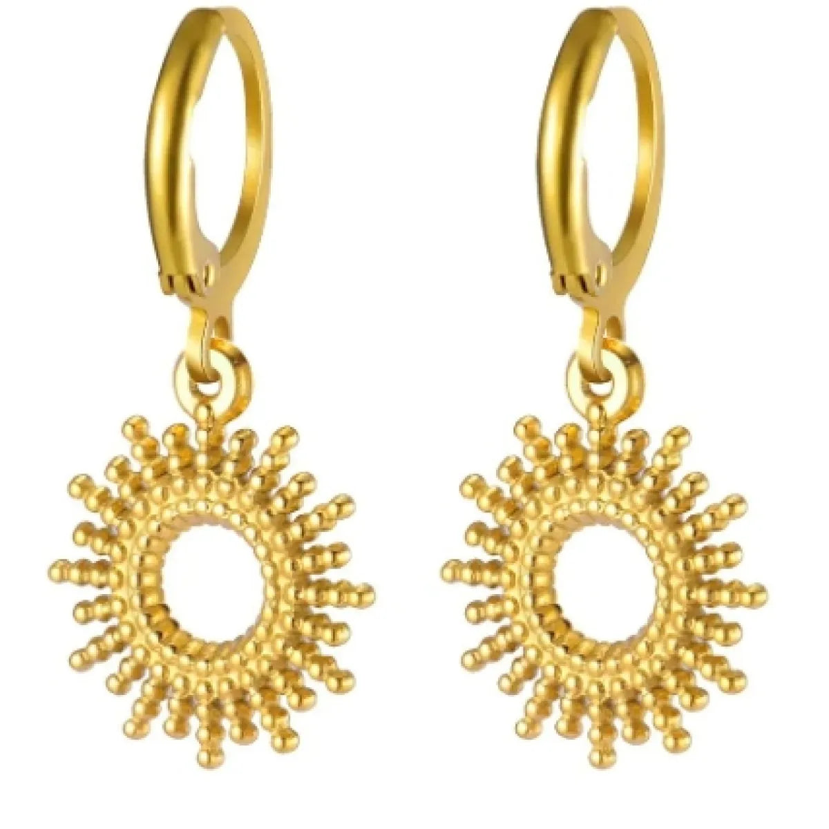 Fashion RVS Oorbellen