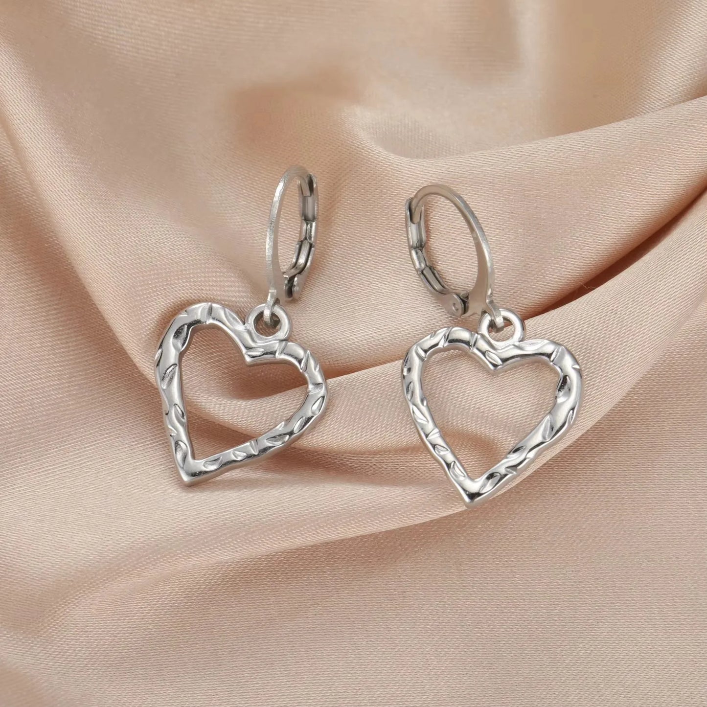 Fashion RVS Oorbellen