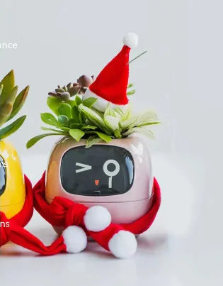 Smart Bloempot met Expressie