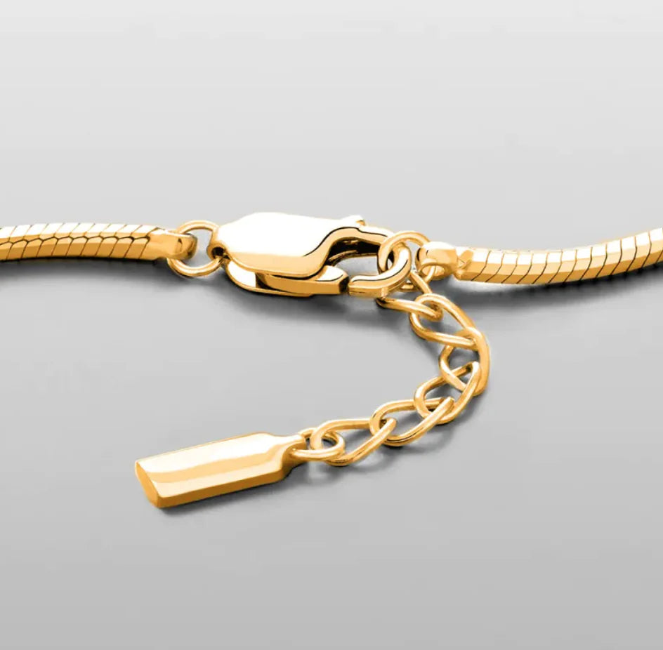 Roestvrijstalen Armband Slangenhuid stijl