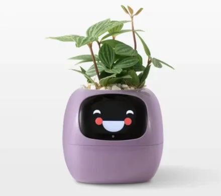 Smart Bloempot met Expressie