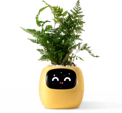 Smart Bloempot met Expressie