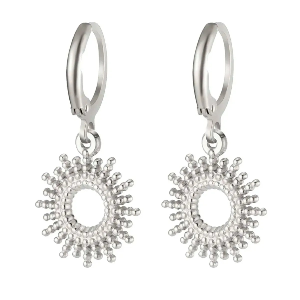 Fashion RVS Oorbellen