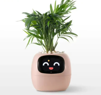 Smart Bloempot met Expressie
