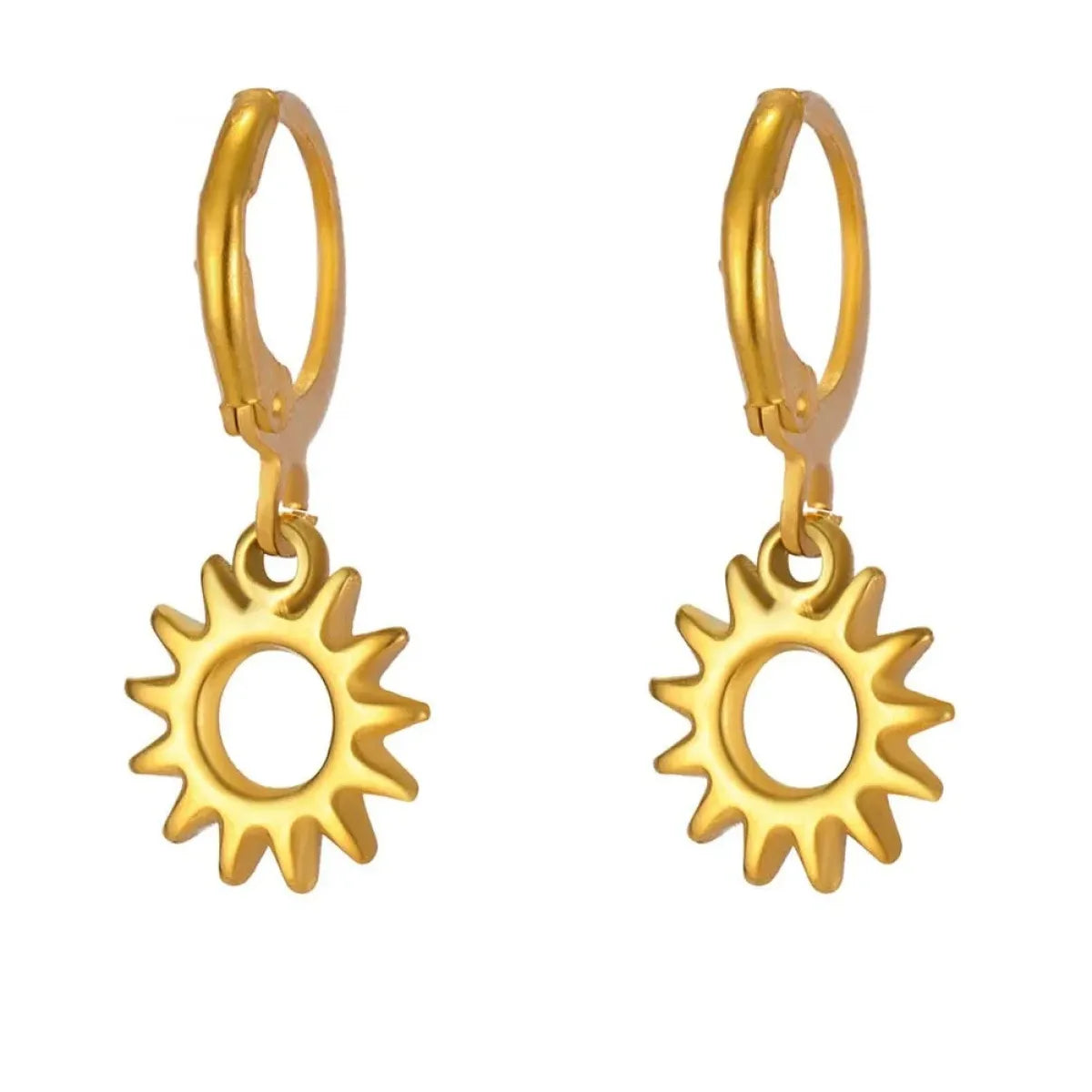 Fashion RVS Oorbellen