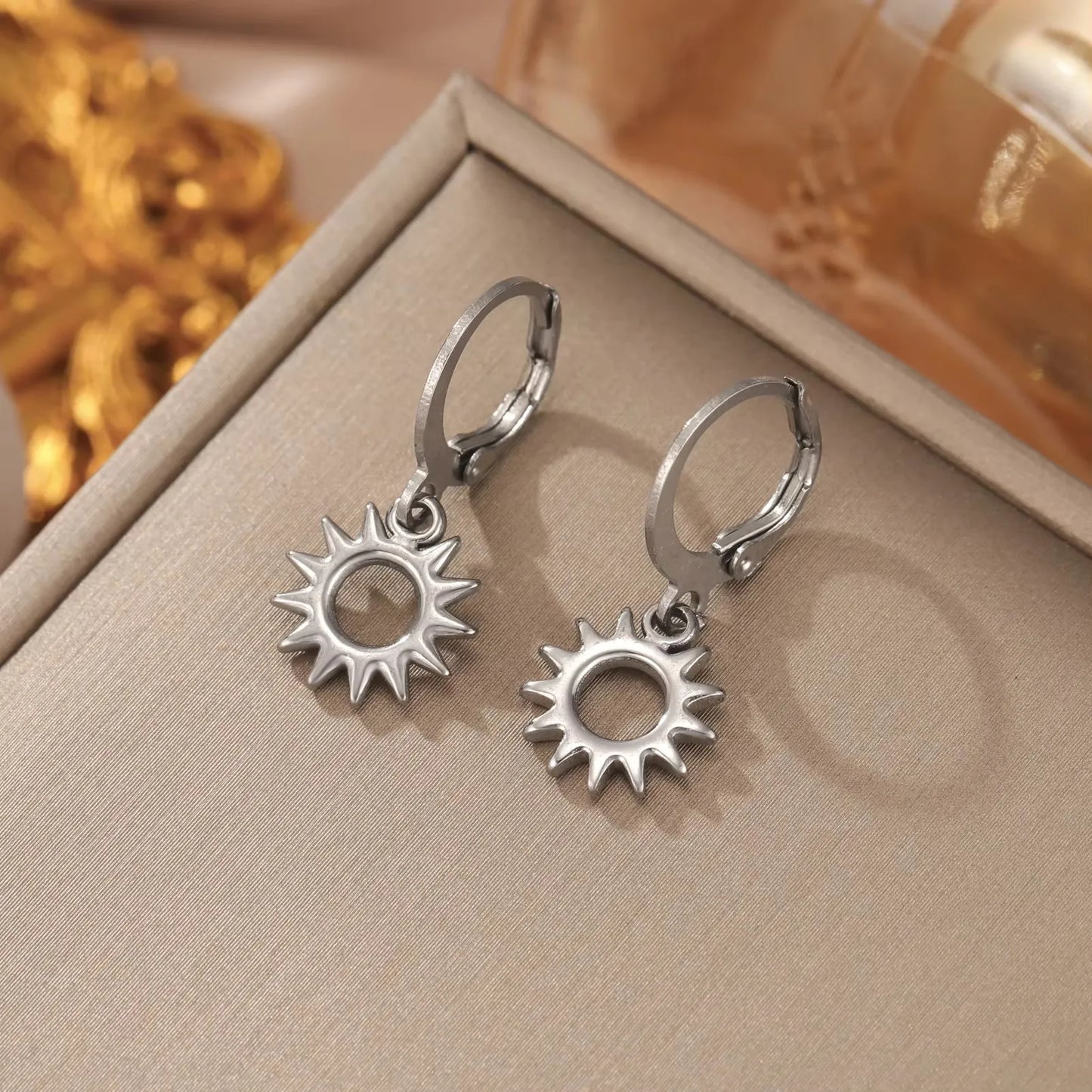 Fashion RVS Oorbellen