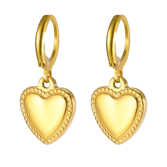 Fashion RVS Oorbellen