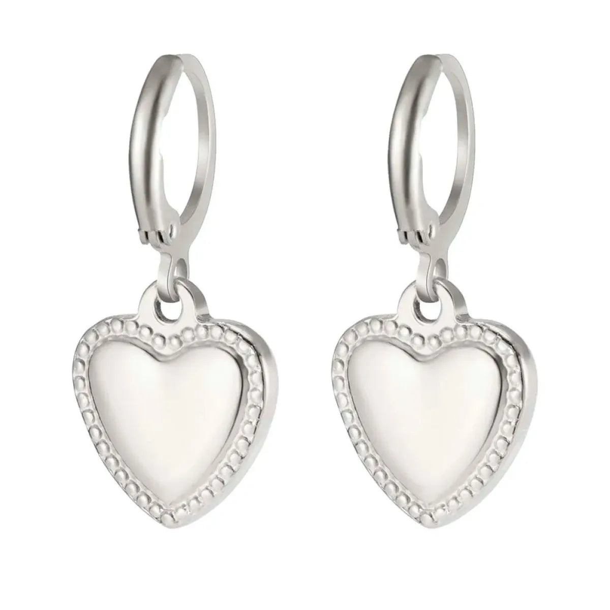 Fashion RVS Oorbellen