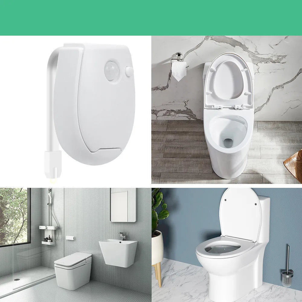 LED Toilet Automatisch Licht