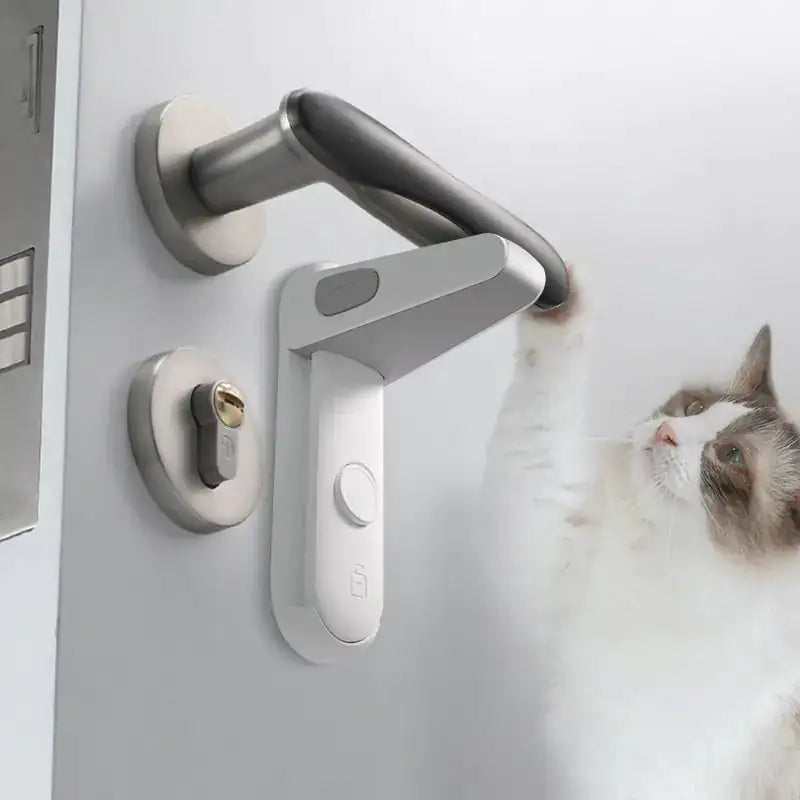 Zalanta Privacy Slot