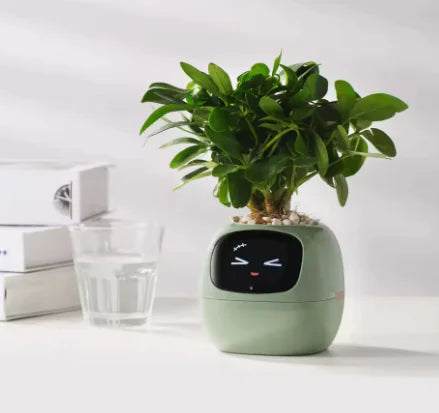 Smart Bloempot met Expressie