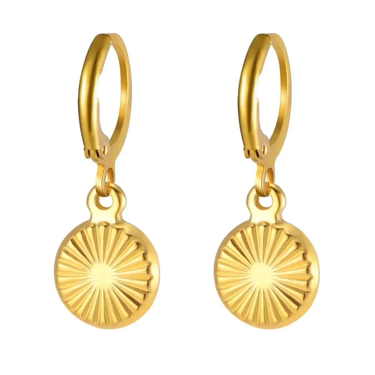 Fashion RVS Oorbellen